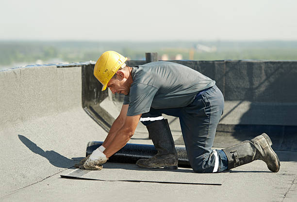 Best Insulation Installation Services in Sheffield Lake, OH