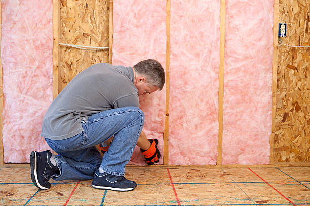 Best Insulation Installation Services in Sheffield Lake, OH