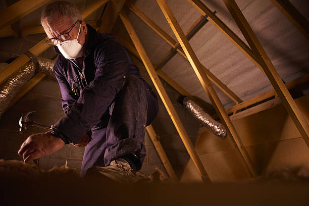 Best Specialty Insulation in Sheffield Lake, OH